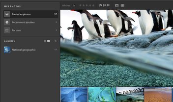 Sem querer, Adobe disponibilizou seu novo app de edição de fotos Nimbus