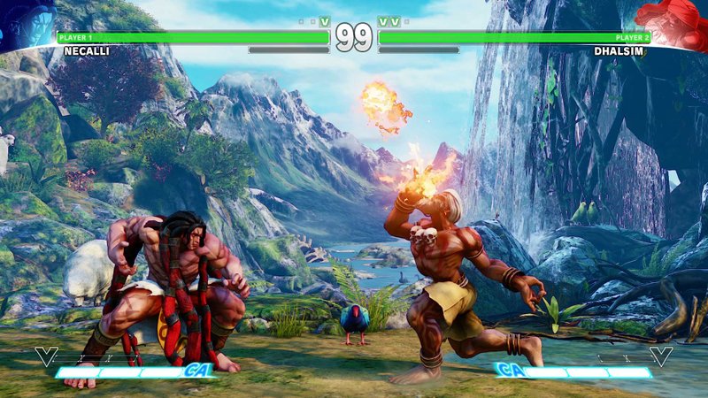 Street Fighter V