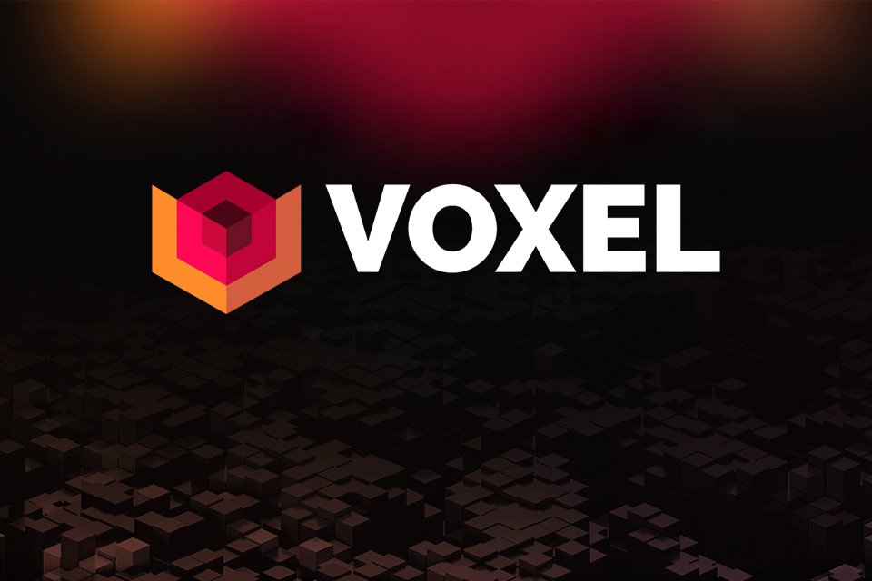 Voxel, NZN, Logo
