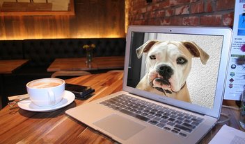 Saiba como monitorar seu animal de estimação usando o Skype