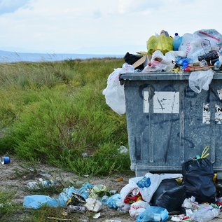 Imagem de Coletar lixo é divertido e um app recebeu US$ 225 mil por essa sacada