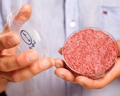 Cientistas criam carne artificial em laboratório usando células animais