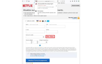 Golpe com site falso da Netflix tenta roubar dados de cartão de crédito de  brasileiros 