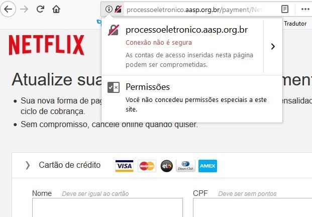 Site falso da Netflix tenta roubar dados de cartão de crédito de  brasileiros - Olhar Digital