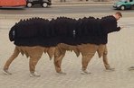 Imagem de Mais 15 fotos panorâmicas que deram muito, mas muito errado