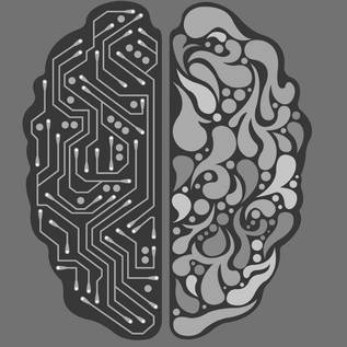 Imagem de Cérebros digitais nos trouxeram 'uma época ótima para ser neurocientista'