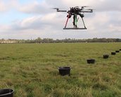 Empresa usa drones inteligentes para plantar até 100 mil árvores por dia