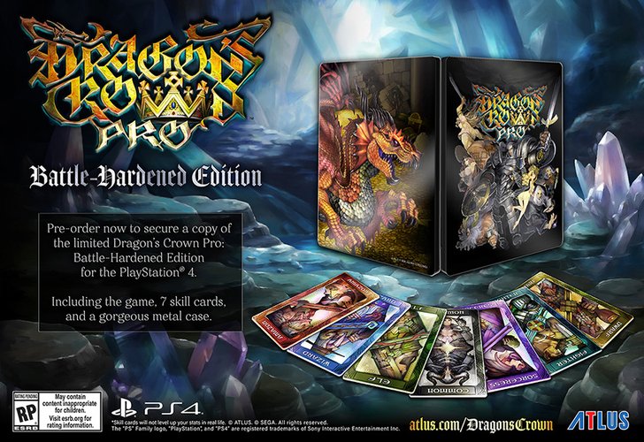 Dragon's Crown Pro