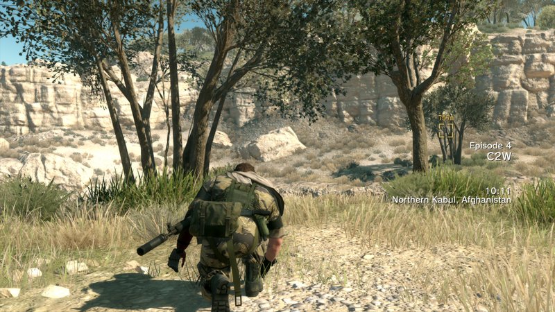 Metal Gear Solid V