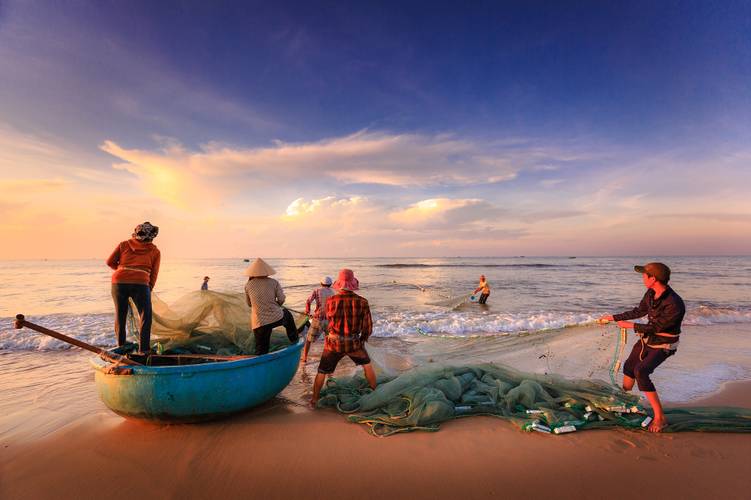pescadores