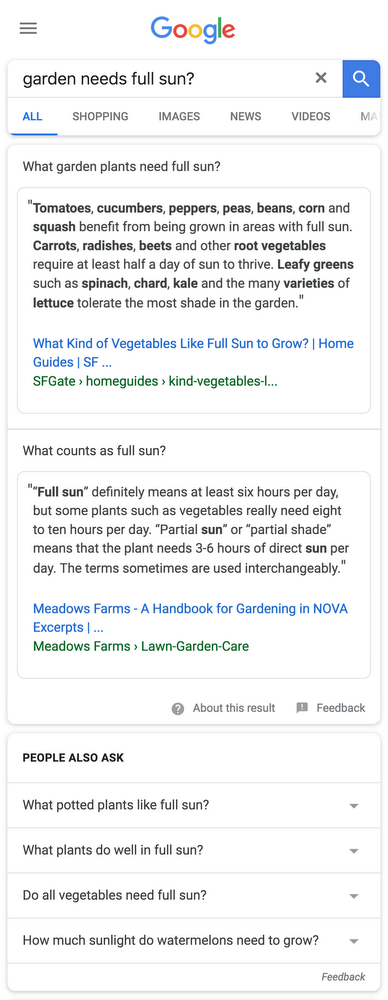 Google Snippets