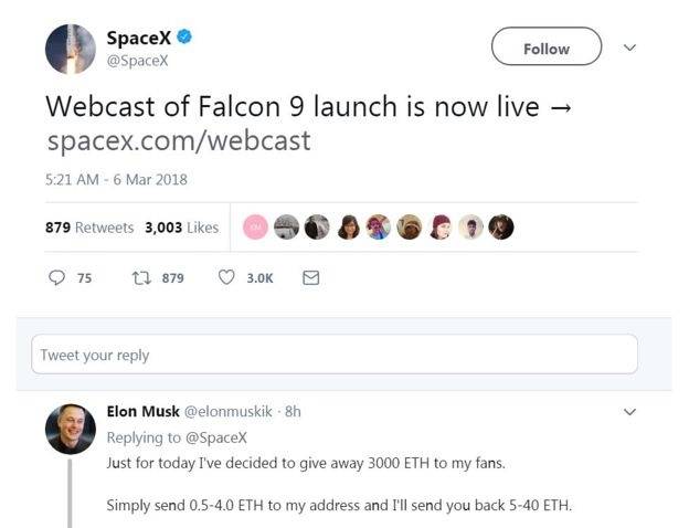 elon musk golpe