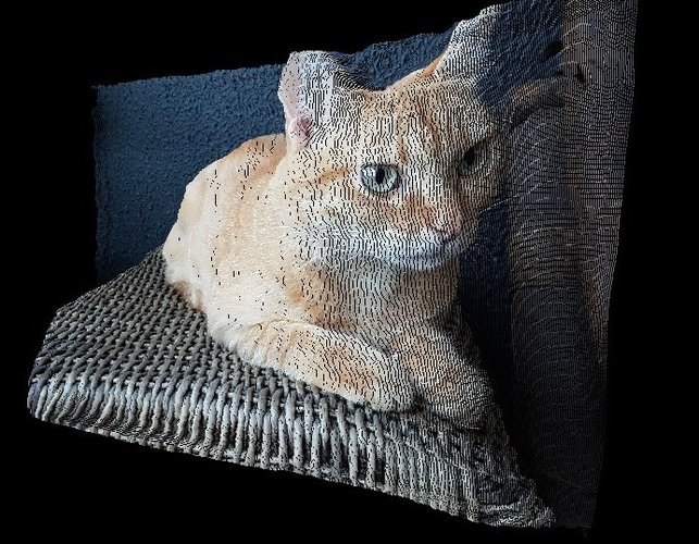 Uma gata.