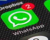 WhatsApp lança atualização para Android Oreo e privilegia personalização