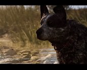 Melhor amigo do homem: vídeo de Far Cry 5 mostra o cão companheiro Boomer