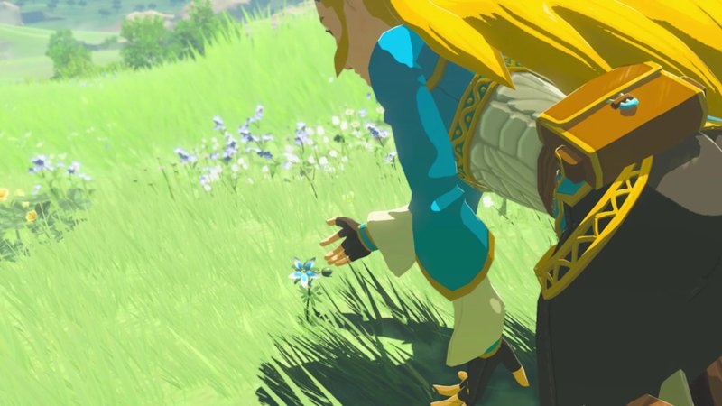 Zelda: Breath of the Wild