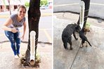 Imagem de 6 invenções geniais que deveriam ser aplicadas em todas as cidades