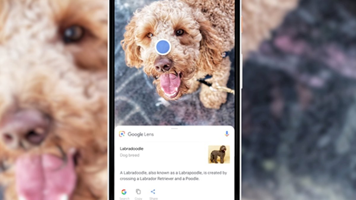 Google Lens agora lê e envia textos do celular para o computador - TecMundo