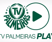 Palmeiras lança serviço tipo Netflix para mostrar jogos e outros conteúdos