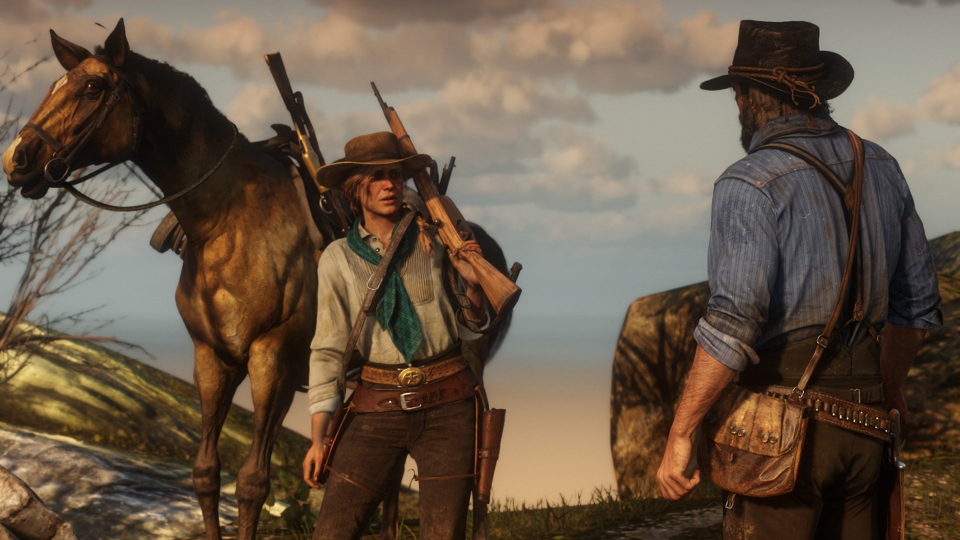 Red Dead Redemption 2 Modo História + Bônus Ed. Definitiva - Steam