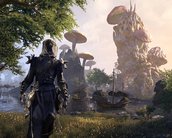 Bethesda anuncia novos DLCs para The Elder Scrolls Online