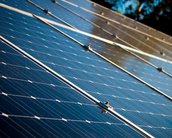 Pesquisadores criam painéis de energia solar que funcionam com bactérias