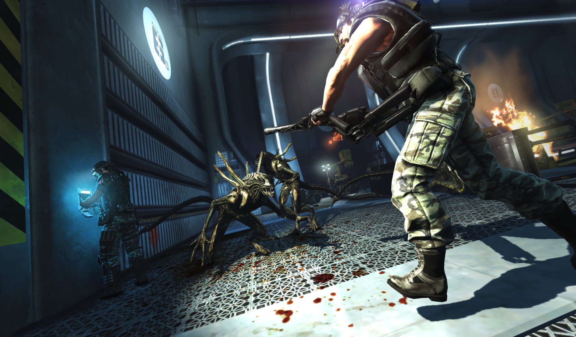 Jogo Aliens: Colonial Marines - Ps3