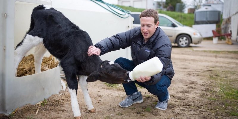 mark zuckerberg