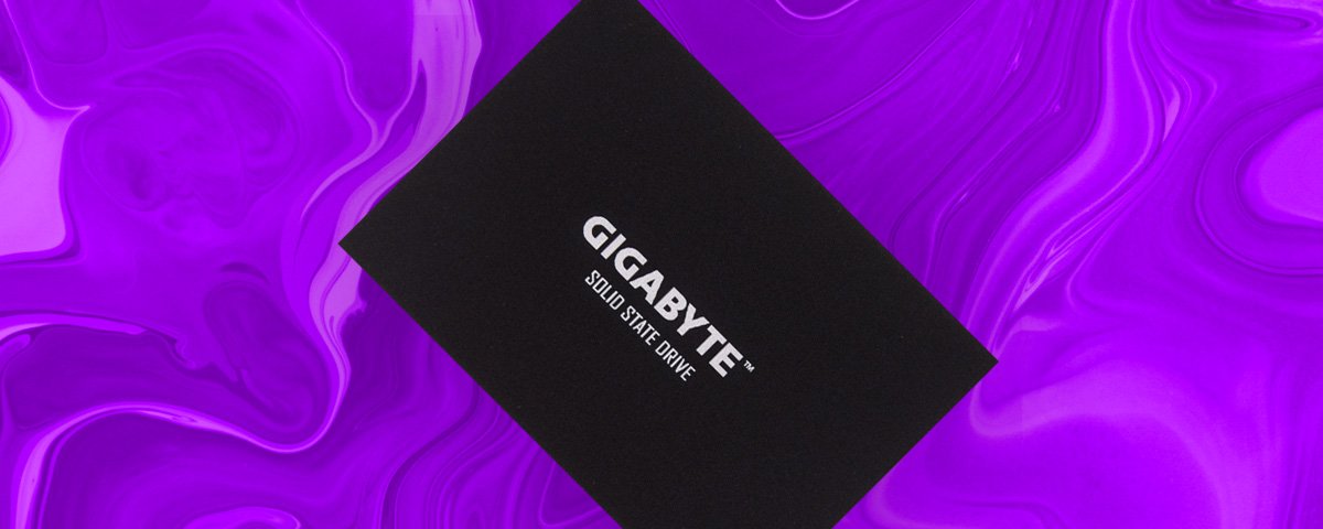 Gigabyte ud pro 256 on sale gb