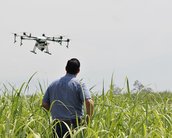 Colômbia testa drones para destruir plantações usadas para produzir cocaína