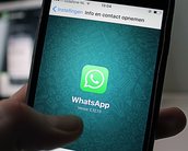 TSE se reúne com o WhatsApp e sugere 8 mudanças para inibir fake news