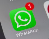 PF solicita ao WhatsApp números por trás de disparos de mensagens em massa 