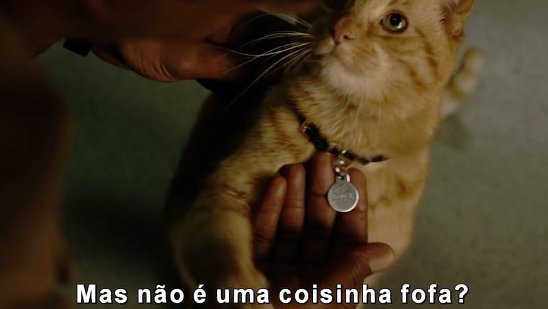 capitã marvel