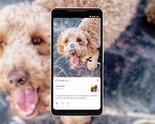 Um ano depois, Google Lens já pode reconhecer mais de 1 bilhão de itens