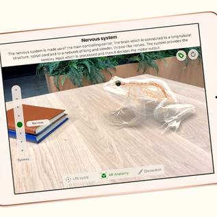Imagem de Apple pode lançar dois iPads de 10 polegadas — nenhum dos dois “Pro”