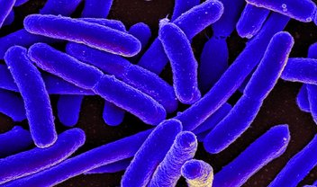 Cientistas substituem DNA de bactéria e criam vida sintética