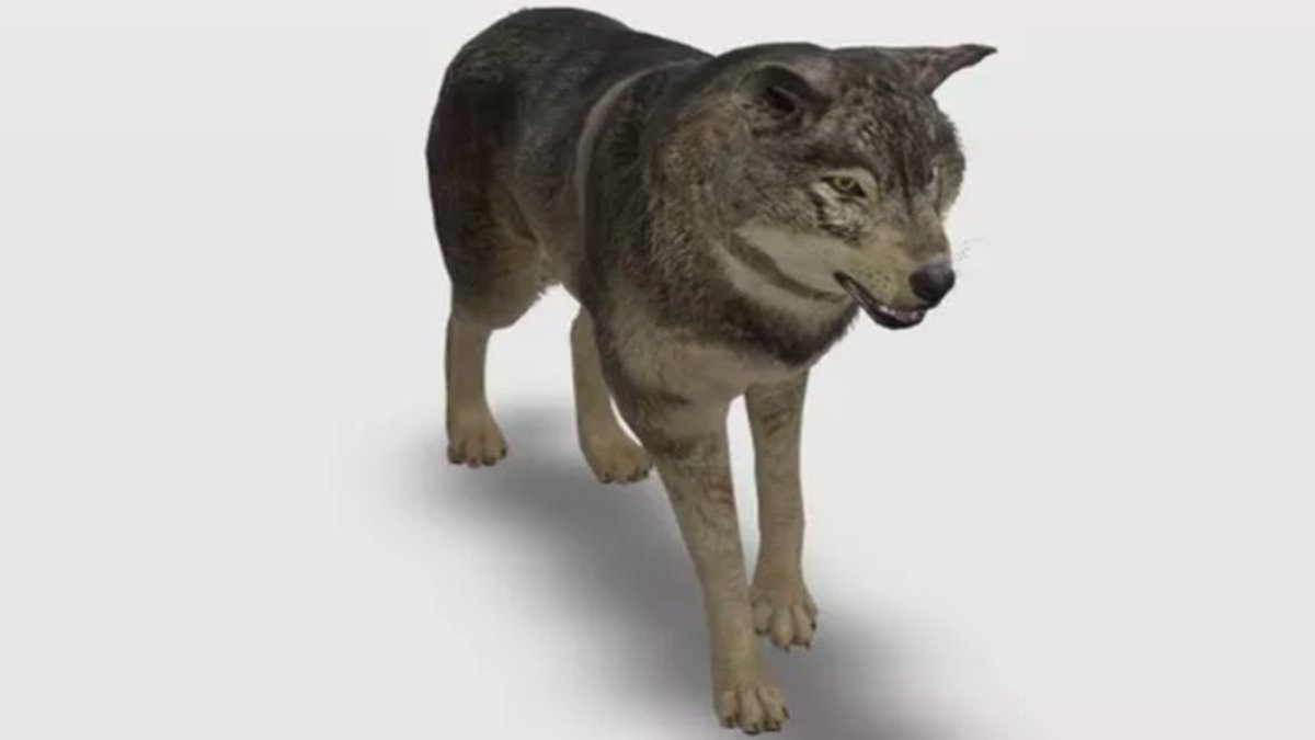 Google traz mais animais 3D em realidade aumentada na busca