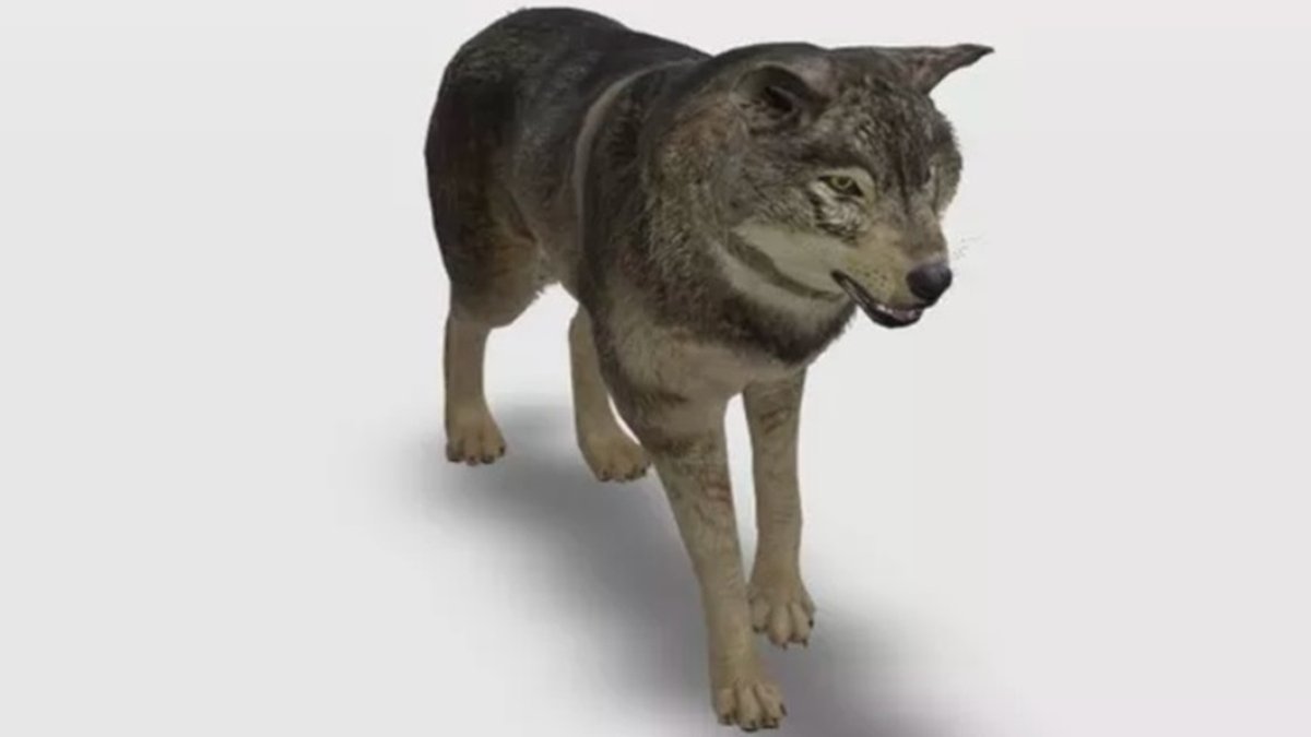 Busca do Google tem novos animais em 3D realidade aumentada