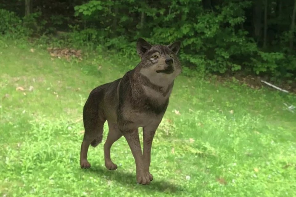 Grave vídeos com os animais 3D de realidade aumentada do Google - Vida  Celular