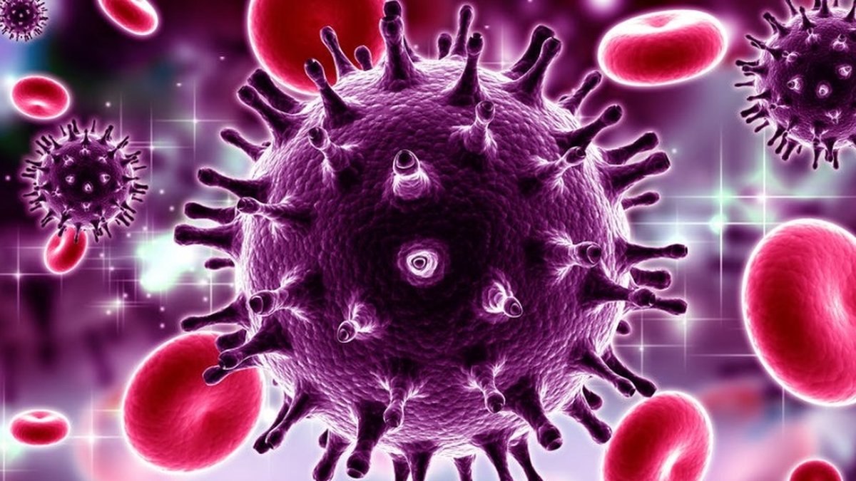 Avanço na medicina: vírus HIV é erradicado do genoma de animais pela 1ª vez  - TecMundo