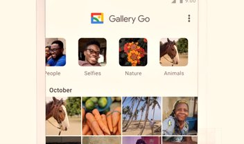 Gallery Go é versão light do Google Fotos e dispensa conexão web