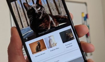 Google Lens expande alcance para versão web em smartphones