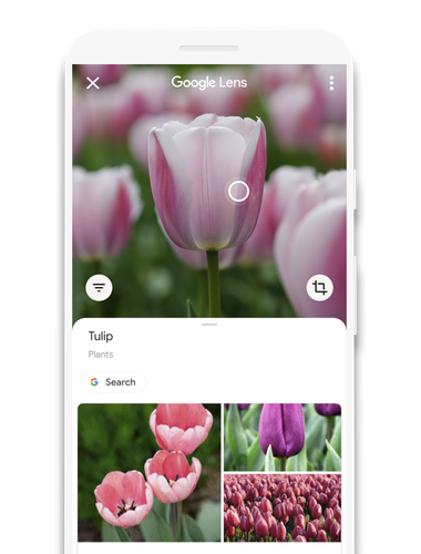 google lens web