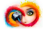 Imagem de Adobe Creative Cloud para equipes está com 40% de desconto