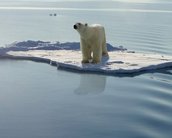 ONU: em 30 anos, oceano engolirá cidades e deixará milhões sem água potável