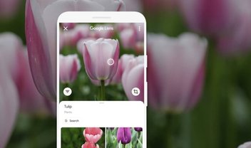 Chrome permite a pesquisa por imagens com Google Lens; veja como