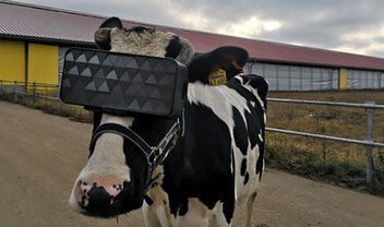 Vacas estão usando headsets VR na Rússia — entenda