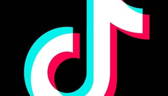 TikTok dispara em uso no Brasil e Roblox domina games em 2020 - TecMundo