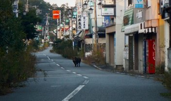 Fukushima: vida selvagem floresce na zona de exclusão da usina nuclear