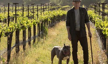 Star Trek Picard: tudo que você precisa saber sobre a nova série